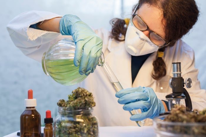 A person preparing medicines from cannabis extract in a lab.