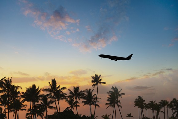 A plane flies above palm trees.