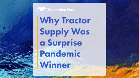 Tractor Supply Tsco Stock Price News Info The Motley Fool Tractor Supply Tsco Stock Price News Info The Motley Fool