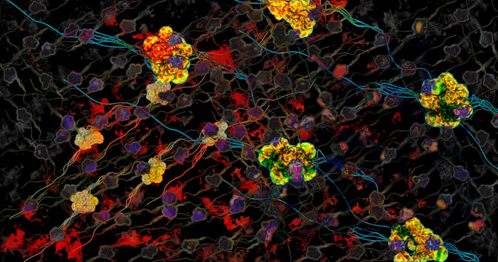 Image of dried psilocybin.