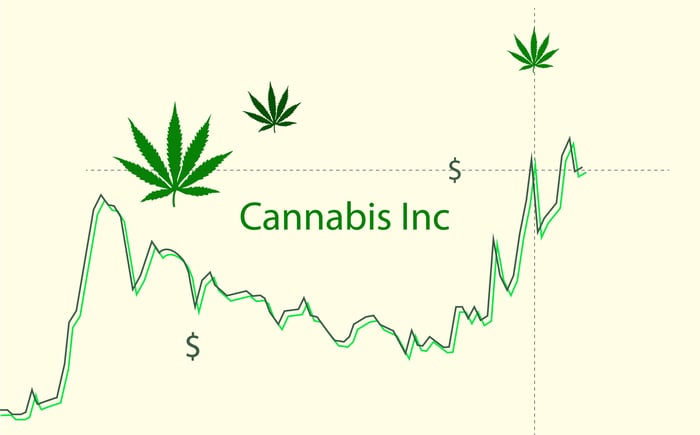 Rising stock chart is labeled Cannabis Inc with dollar signs and marijuana leaves decorating