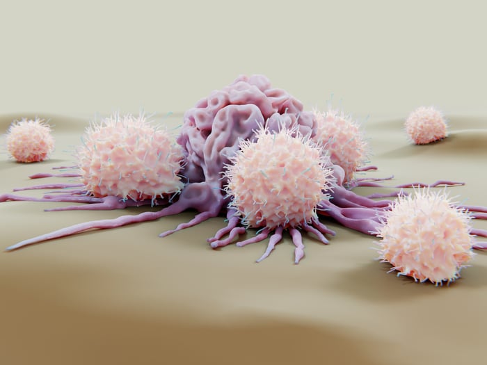 Natural killer cells attacking a tumor.