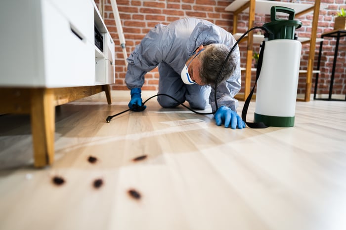 A person spraying for bugs with dead bugs in the foreground.