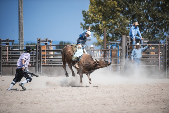Competitor riding a bull at a rodeo.