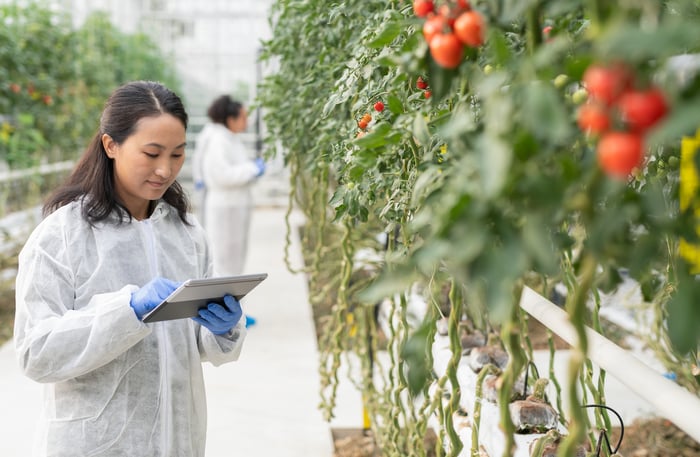 A person in a hydroponic nursery.