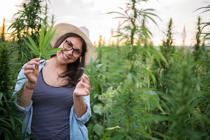 Person smiling and standing in a field of marijuana plants.