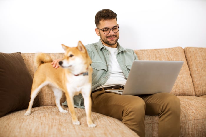 A Shiba Inu dog standing on a sofa with its head turned away from a person sitting on a sofa looking at a laptop PC.