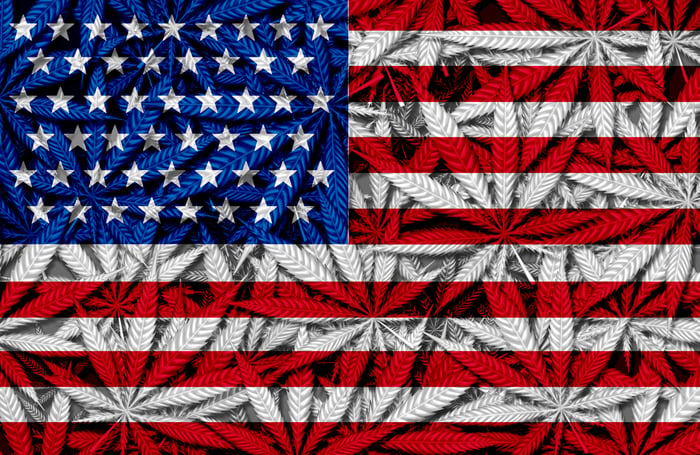 American flag with marijuana plants in the background.