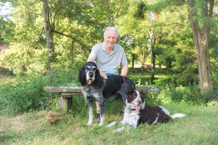 An older person sitting on a bench with two dogs in front of him.