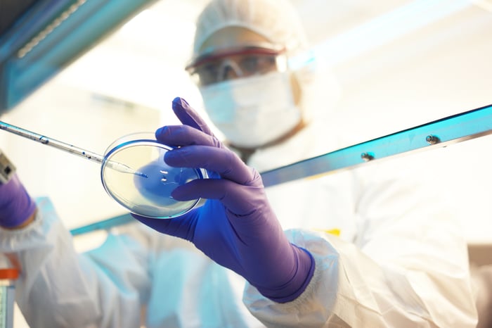 A scientist works with a petri dish in a laboratory.