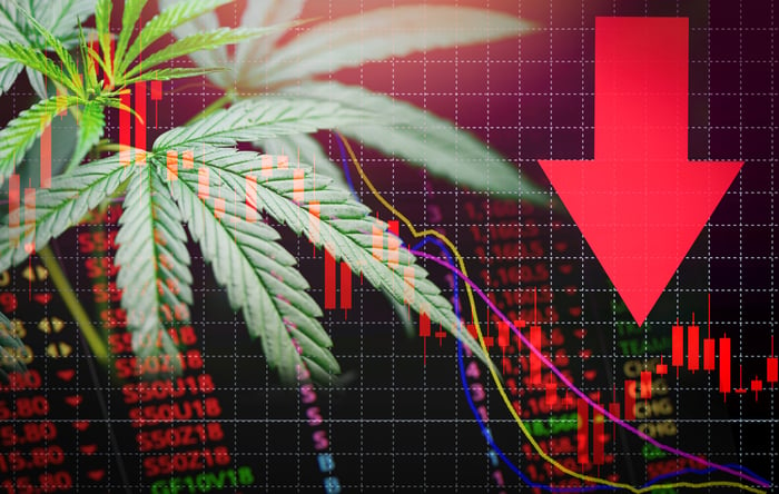 Marijuana leaf over red stock chart with red arrow down indicating stock drop.