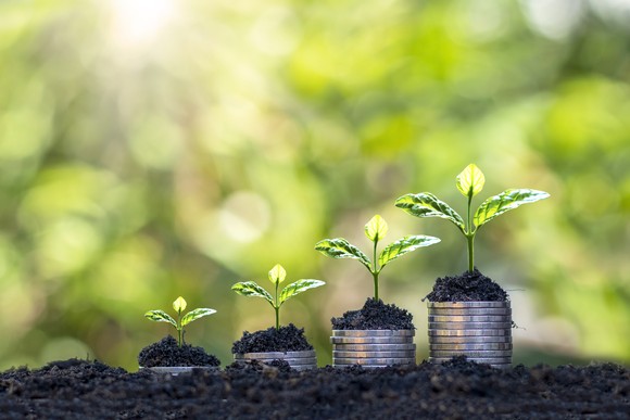Plants sprouting from stacks of coins.