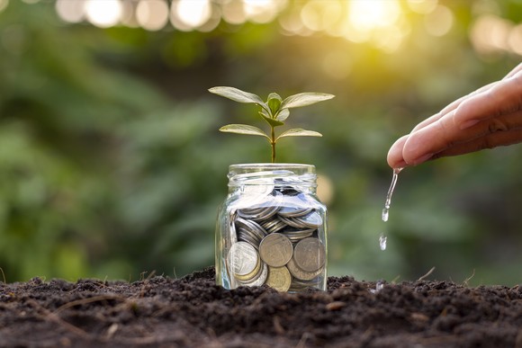A glass pot filled with coins and a seedling on top.