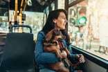 Young Woman And Her Dog In City Bus