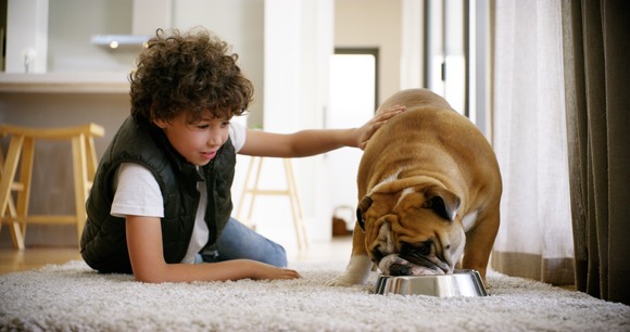 A dog eating from a bowl with a child sitting next to it.