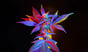 cannabis leaves