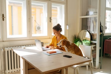 A person sitting working on a laptop with a dog sitting in the chair next to them