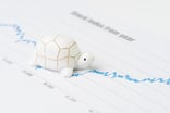 white toy turtle on a paper