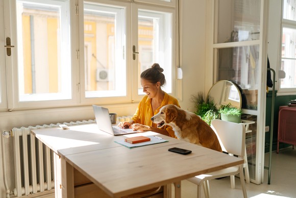 Someone sitting at a table typing on a laptop with a dog beside them.
