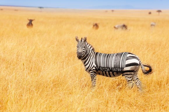 A zebra with actual barcode stripes stands on a brightly lit field.