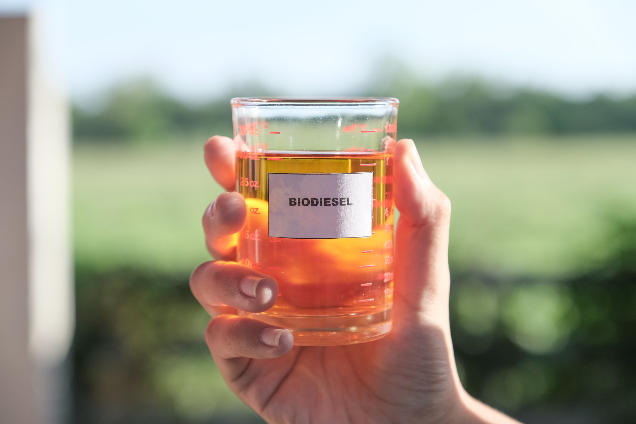 Hand holding up a beaker of fluid labeled biodiesel
