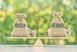 risk and reward bags on a balance sacle