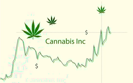Rising stock chart is labeled Cannabis Inc with dollar signs and marijuana leaves decorating.