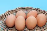 calm stock earnings cal-maine foods earnings