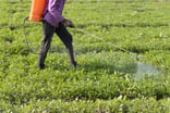 fertilizer or insecticide spraying farm agriculture farmer