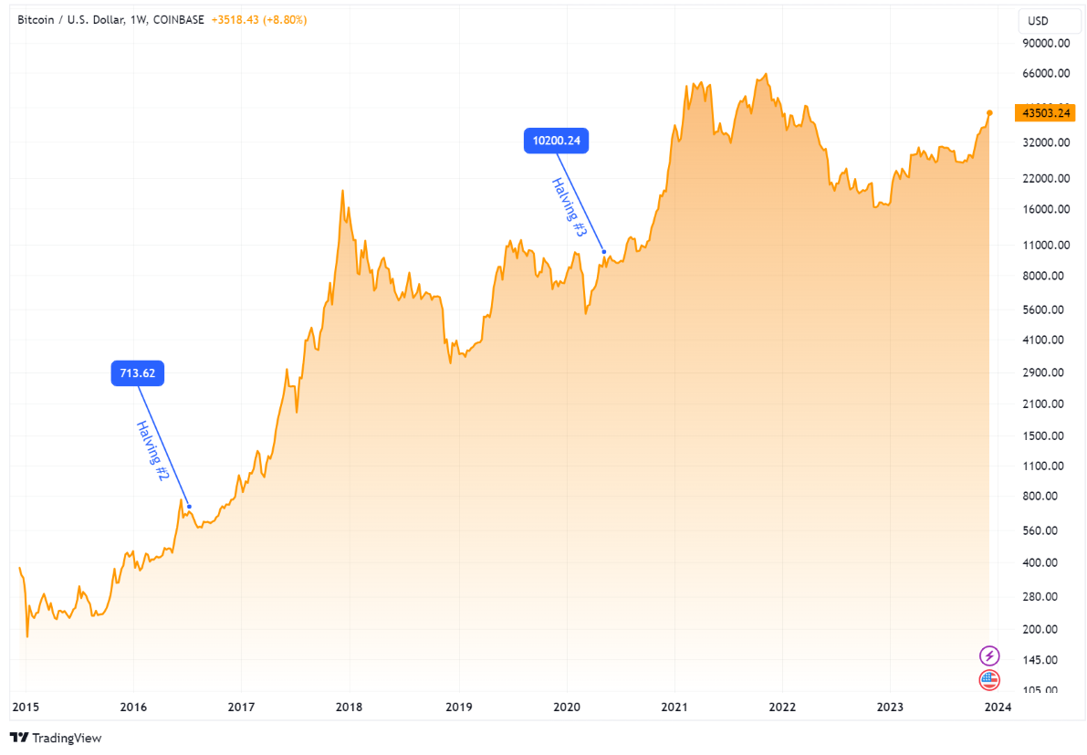 Bitcoin halving chart