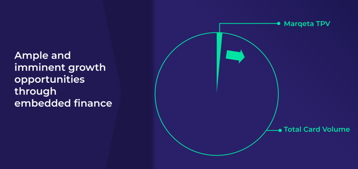 Pie chart showing Marqueta's minimum penetration.