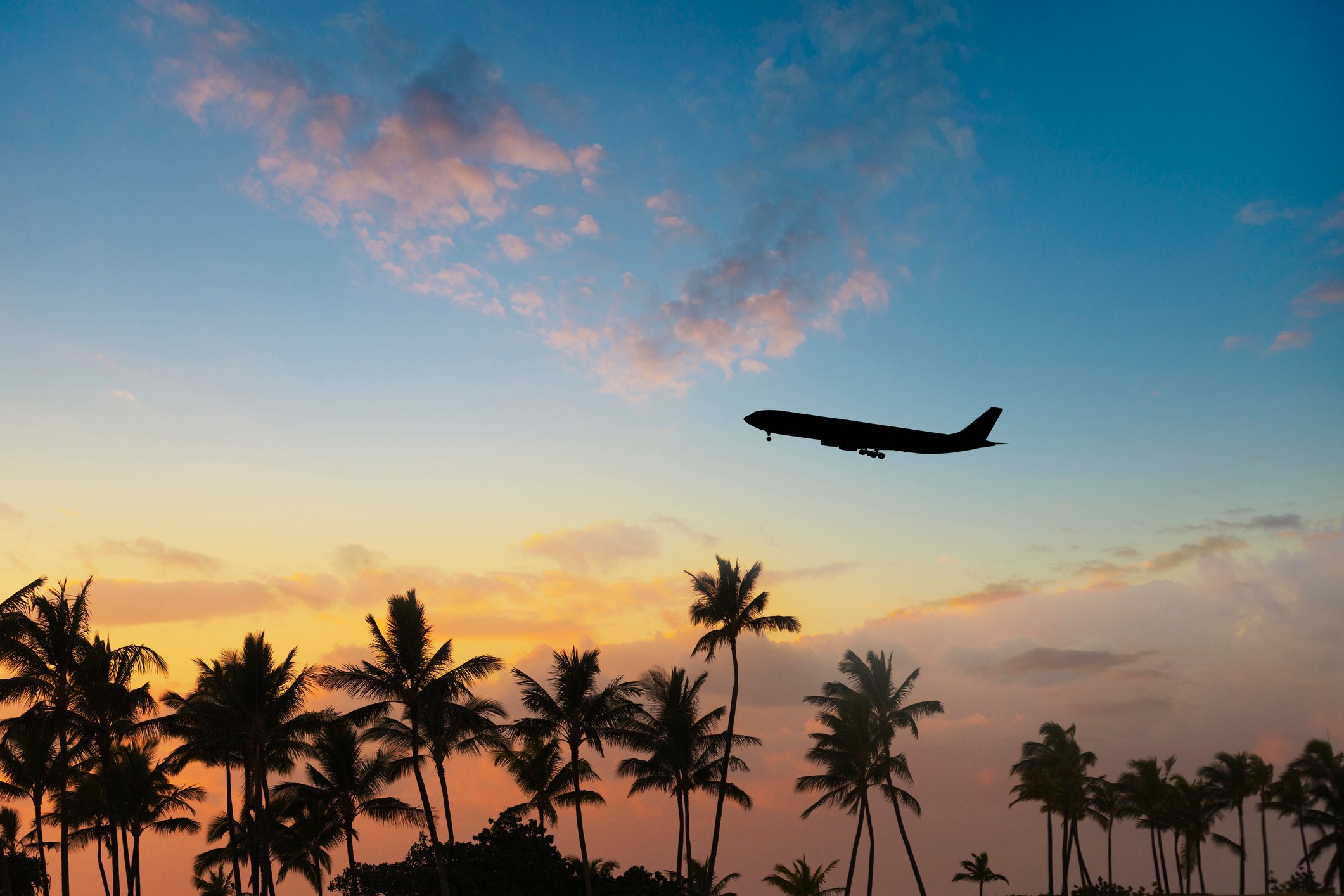 Silhouette of airplane flying over palm trees in sunset Getty