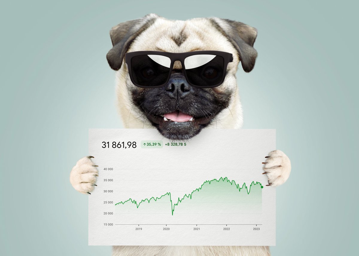 dog with sunglasses holding chart of Dow Jones returns 2018 to 2023