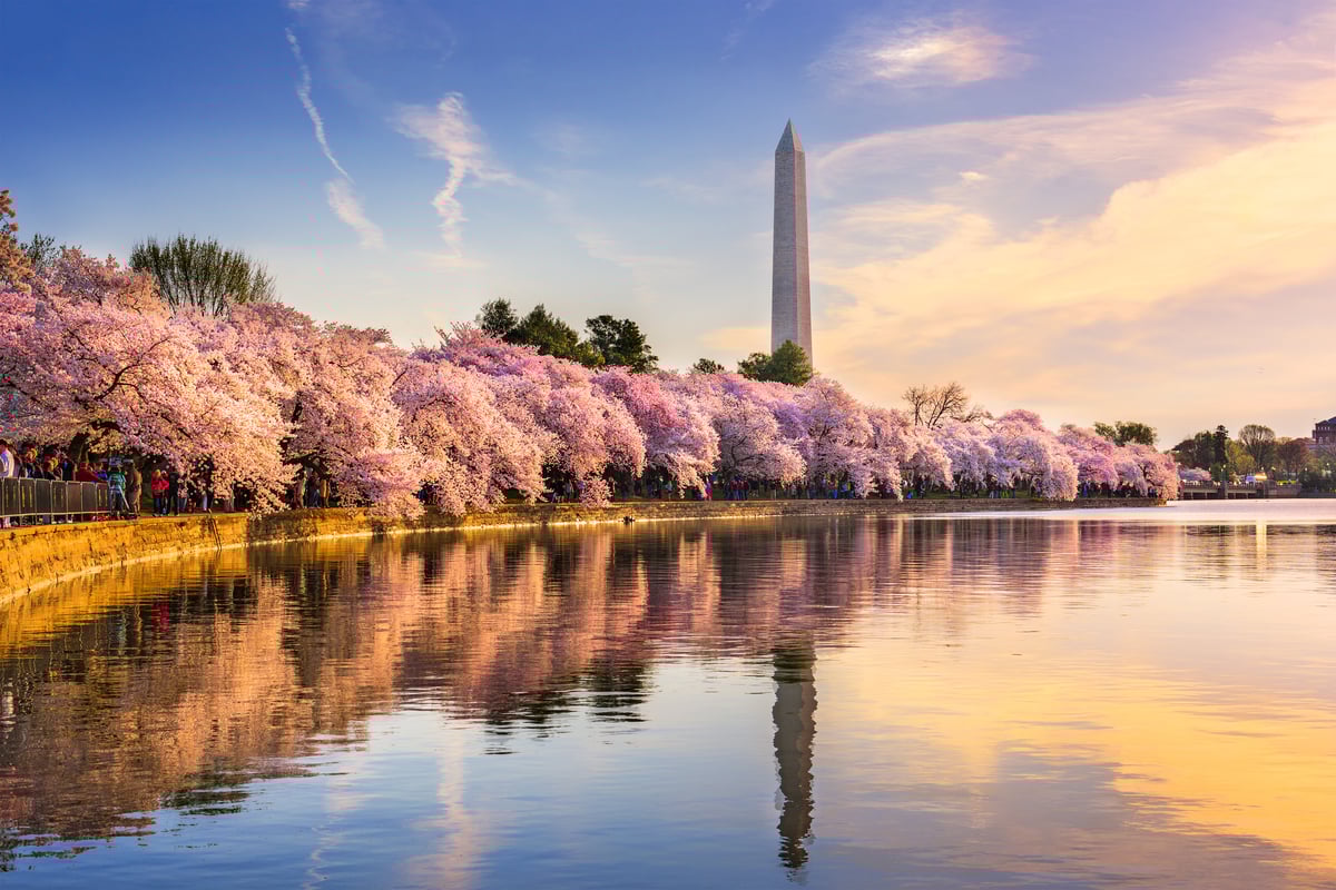Washington DC the pencil monument cherry blossom-1200x800-5b2df79