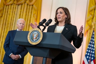Kamala Harris Remarks East Room White House Adam Schultz