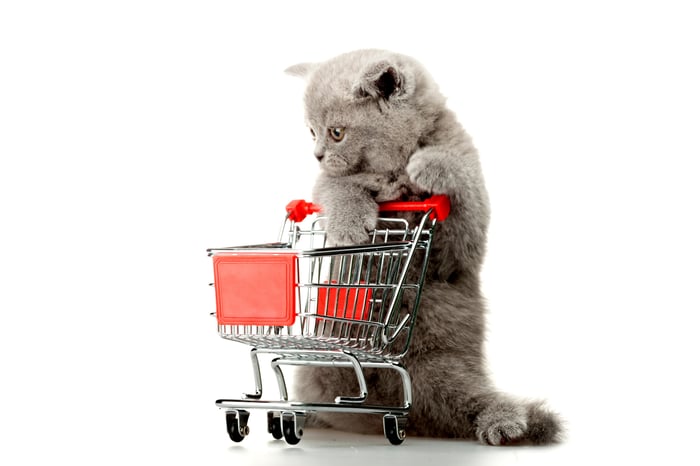 A gray kitten pushes a miniature red and silver shopping cart while standing against a white backdrop.