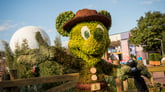 DISEpcotGrassMickey