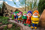 DIS7dwarfs