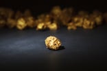 Gold Nugget