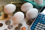 Eggs next to a calculator and scattered coins.
