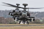 Military helicopters landing in an open field.