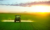 A sprayer works an open field with a bright sun in the background.