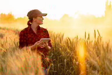 A person smiles while holding a tablet in a grassland at sunrise.