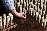 22_08_22 A hand planting money in the ground to show long term investing growth _MF Dload