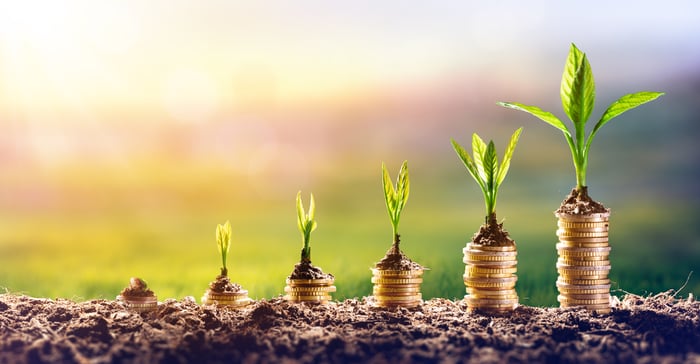 Plants sprout from stacks of coins that are lined up in increasingly taller towers.