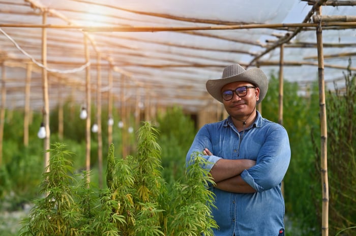 Smiling person in a grow room full of marijuana plants.