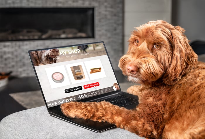 A dog with its paws on a laptop displaying a pet e-commerce site.