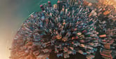 GettyImages-1044815792-1200x616-fabb16f (1)