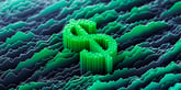 Green digital Dollar