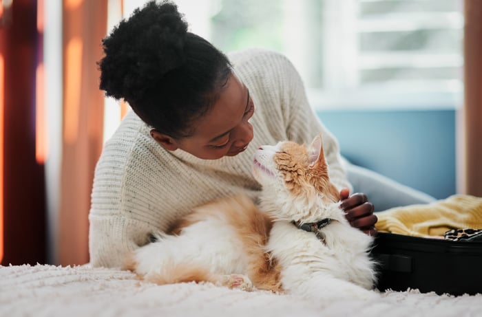 A person is petting a cat.